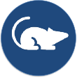 RatProtect
